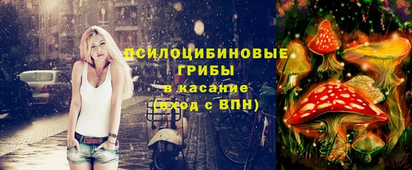 трава Арсеньев