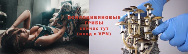 трава Арсеньев