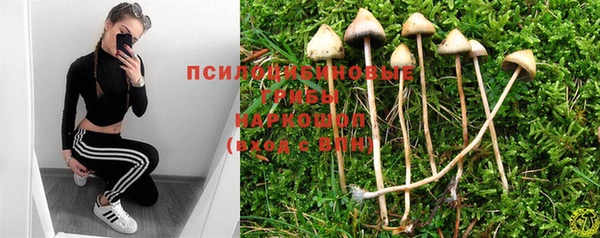 не бодяженный Аркадак