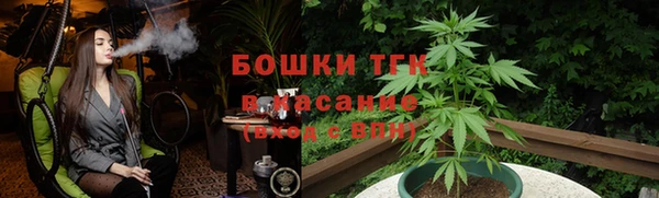 трава Арсеньев